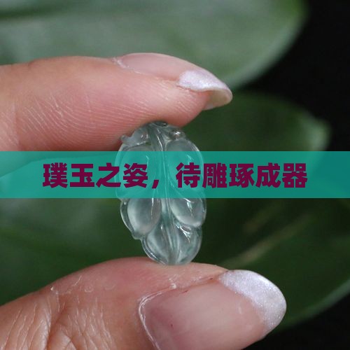 璞玉之姿，待雕琢成器