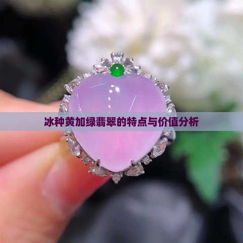 冰种黄加绿翡翠的特点与价值分析