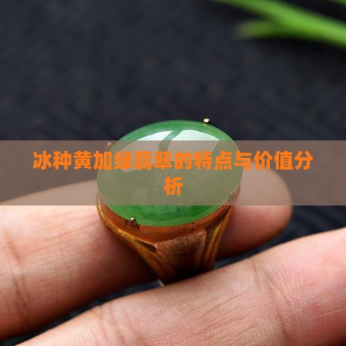 冰种黄加绿翡翠的特点与价值分析