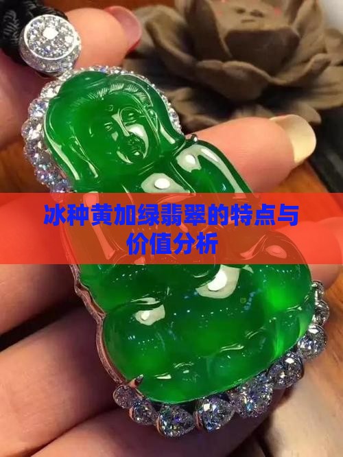 冰种黄加绿翡翠的特点与价值分析