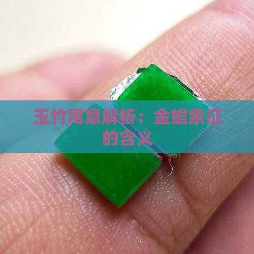 玉竹寓意解析：金蟾象征的含义