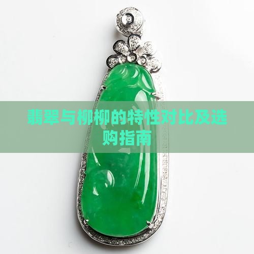 翡翠与柳柳的特性对比及选购指南