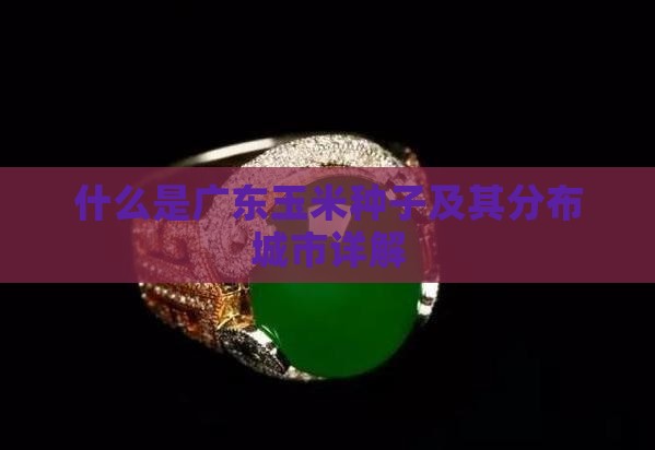 什么是广东玉米种子及其分布城市详解