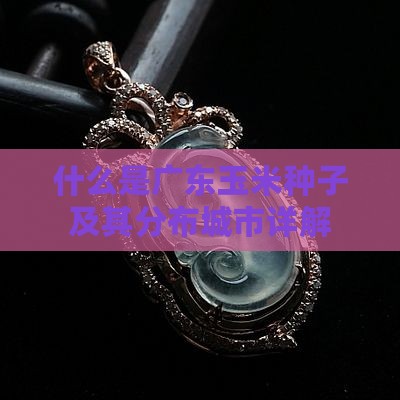 什么是广东玉米种子及其分布城市详解