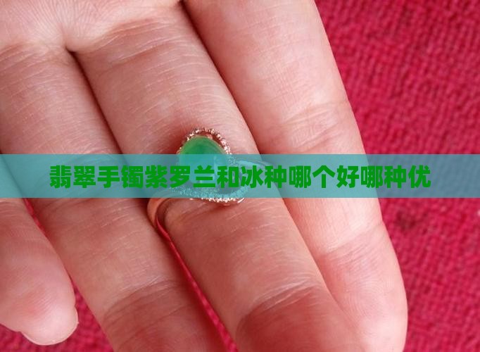 翡翠手镯紫罗兰和冰种哪个好哪种优