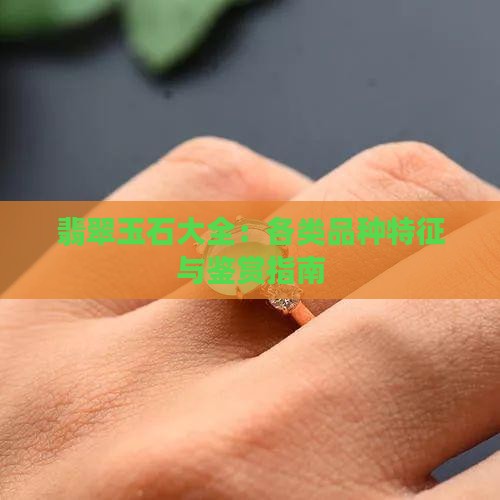 翡翠玉石大全：各类品种特征与鉴赏指南