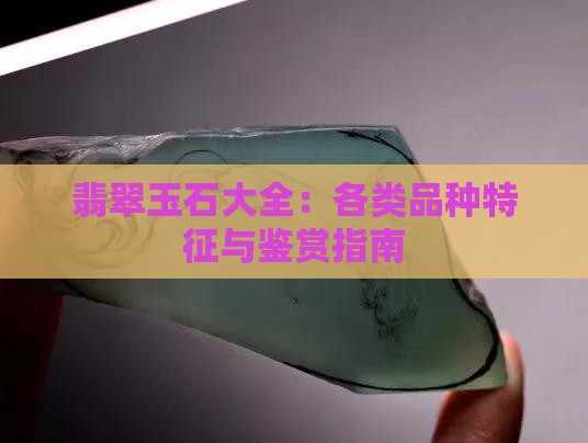 翡翠玉石大全：各类品种特征与鉴赏指南