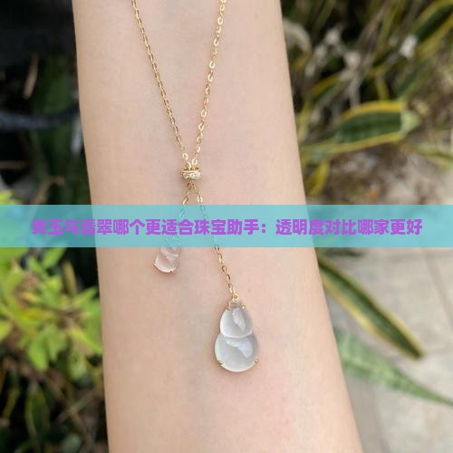 黄玉与翡翠哪个更适合珠宝助手：透明度对比哪家更好