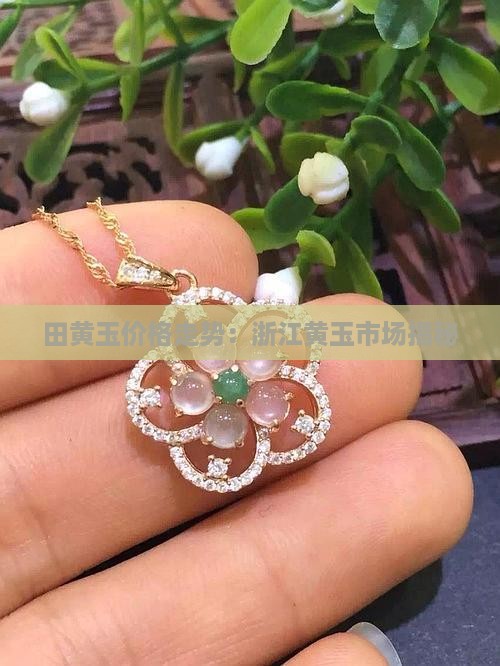 田黄玉价格走势：浙江黄玉市场揭秘