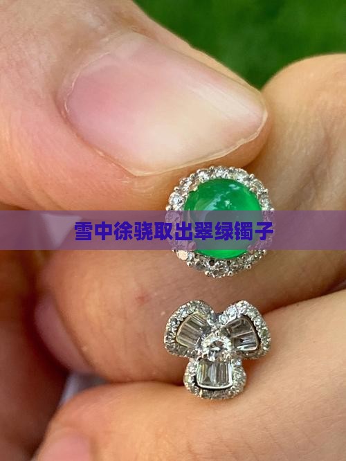 雪中徐骁取出翠绿镯子
