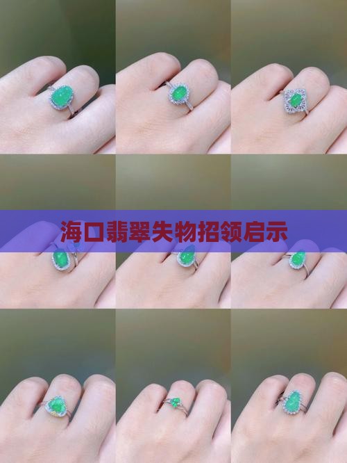 海口翡翠失物招领启示