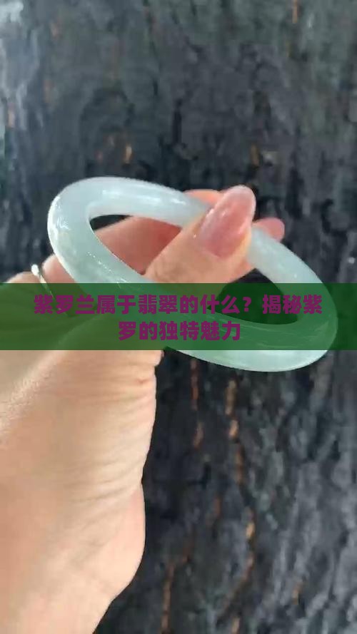 紫罗兰属于翡翠的什么?揭秘紫罗的独特魅力 紫罗兰属于翡翠的什么?揭秘紫罗的独特魅力