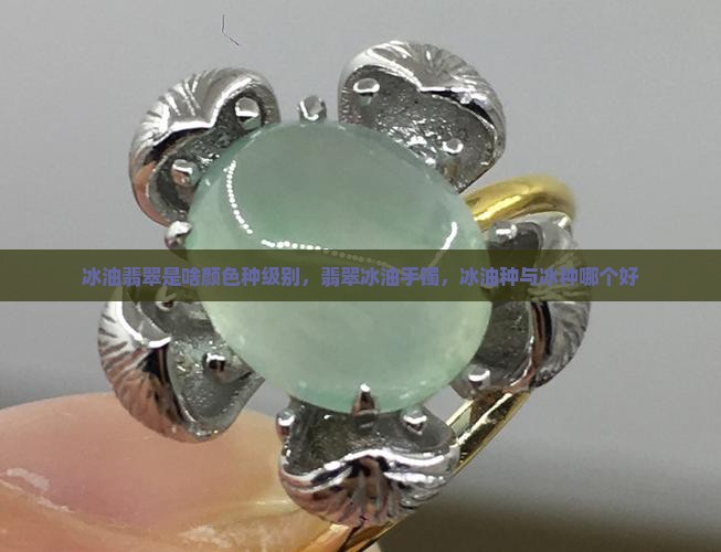 冰油翡翠是啥颜色种级别，翡翠冰油手镯，冰油种与冰种哪个好