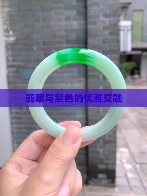 翡翠与紫色的优雅交融