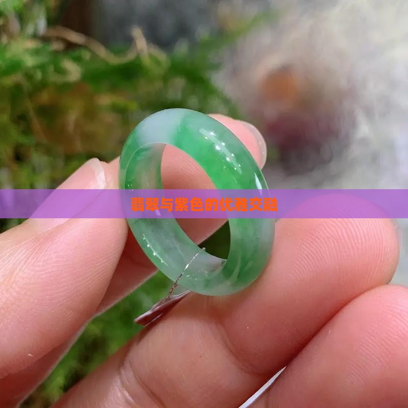 翡翠与紫色的优雅交融
