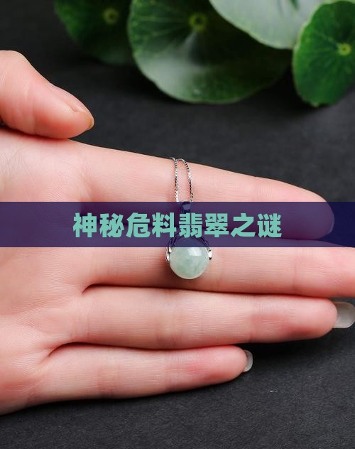 神秘危料翡翠之谜