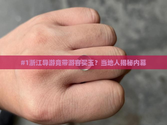 浙江旅游导游带买玉
