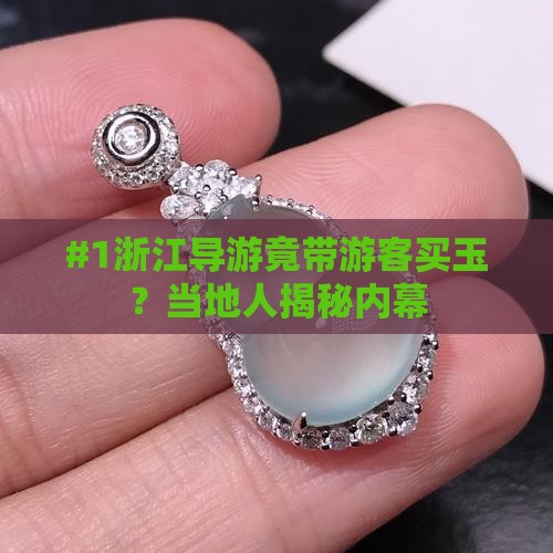 浙江旅游导游带买玉