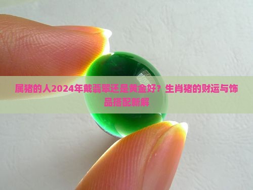 属猪得带翡翠还是黄金好