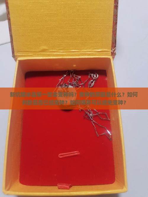 新坑糯冰翡翠一定会变种吗