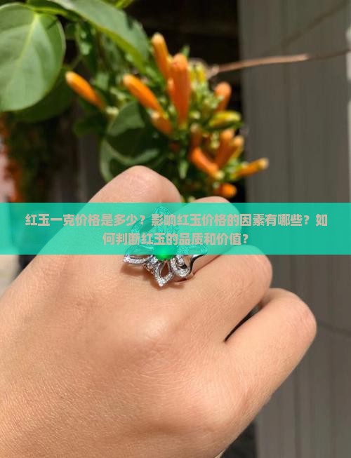 红玉一克多少钱