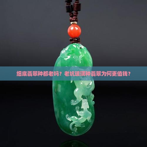 细底翡翠种都老吗