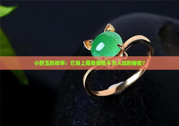 小野玉怎么样