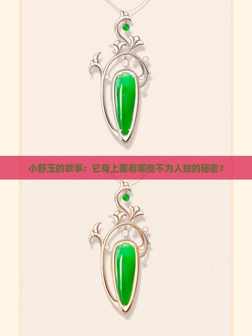 小野玉怎么样