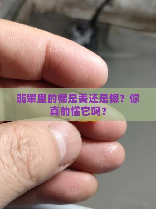 翡翠多棉好吗
