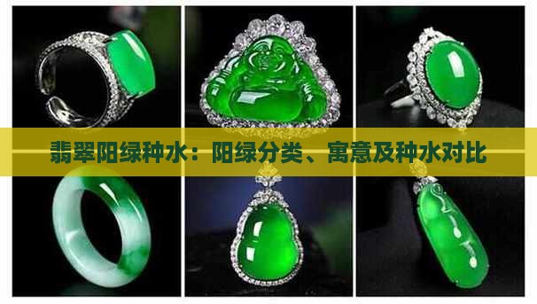 翡翠阳绿种水 翡翠阳绿种水