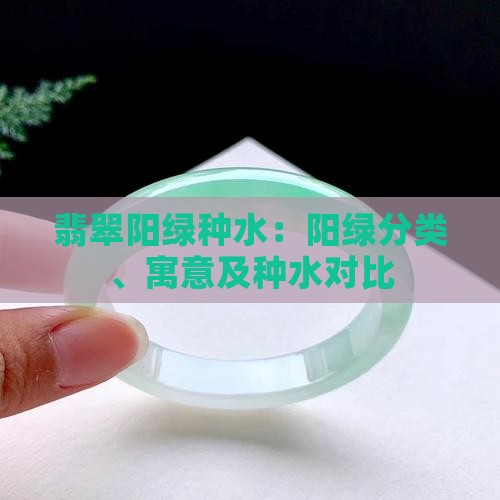 翡翠阳绿种水 翡翠阳绿种水