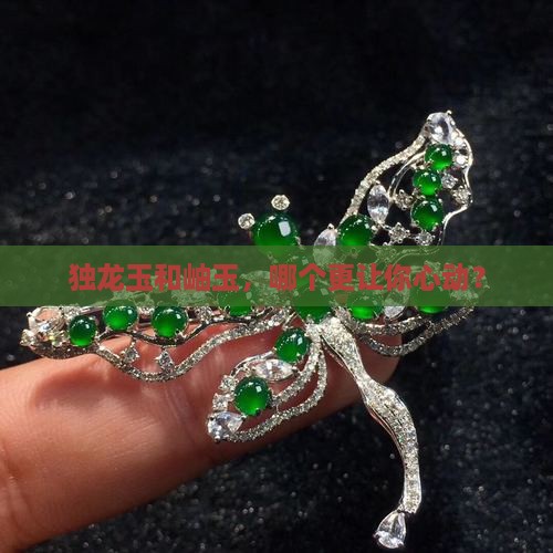 独龙玉好还是岫玉好