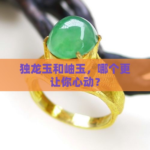 独龙玉好还是岫玉好