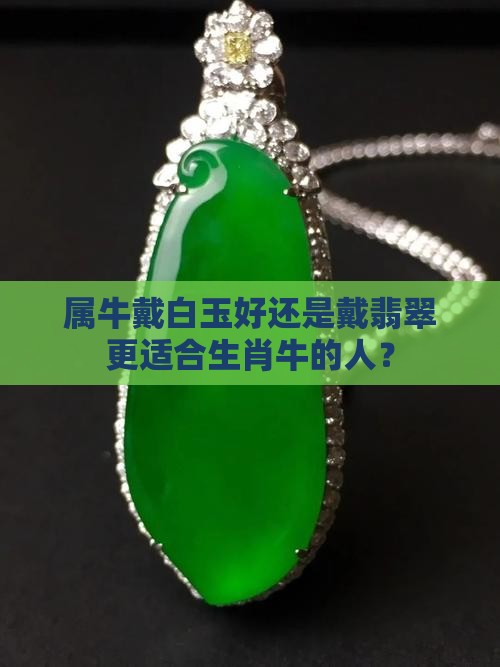 属牛戴白玉好吗