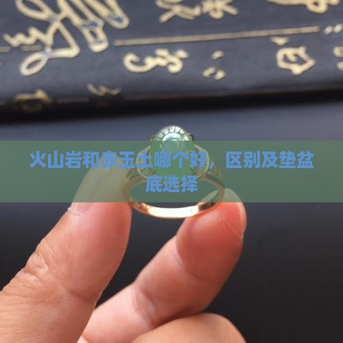 火山岩和赤玉土哪个好