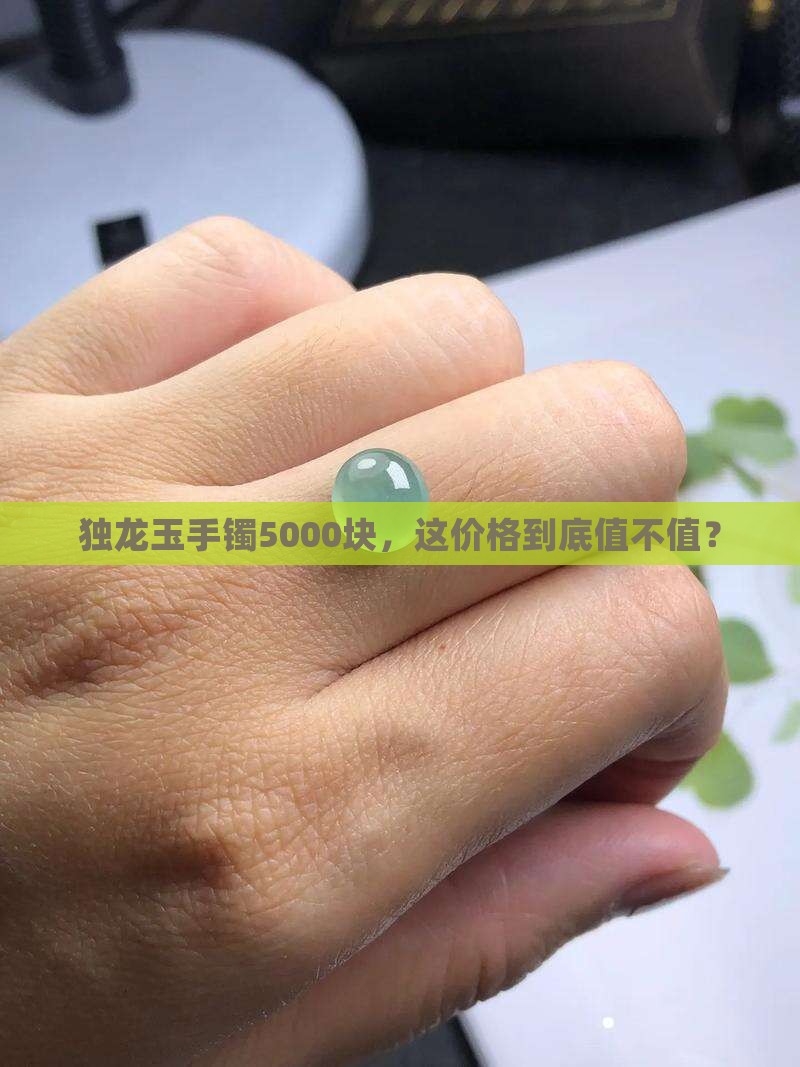 独龙玉手镯5000贵吗