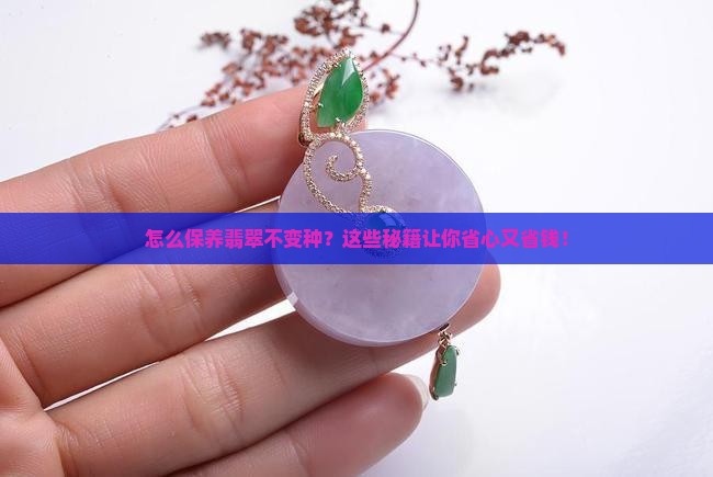 怎么保养翡翠不变种
