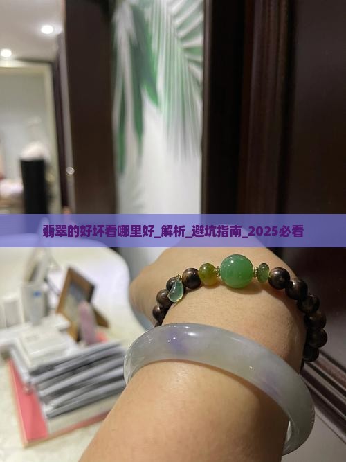 翡翠的好坏看哪里好
