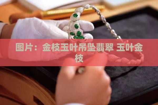 上海的金枝玉叶吊坠翡翠