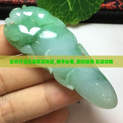 怎样开玉石翡翠实体店