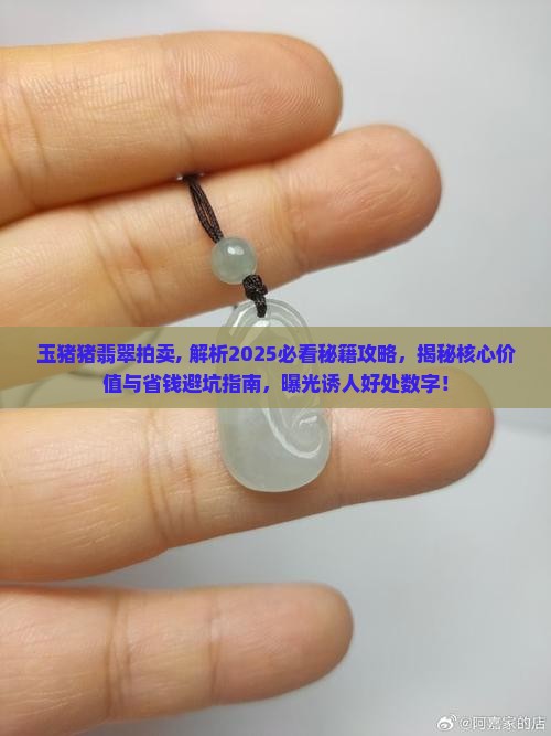 玉猪猪翡翠拍卖