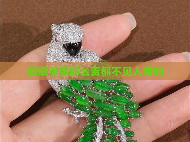 翡翠手镯那么贵都不见人带
