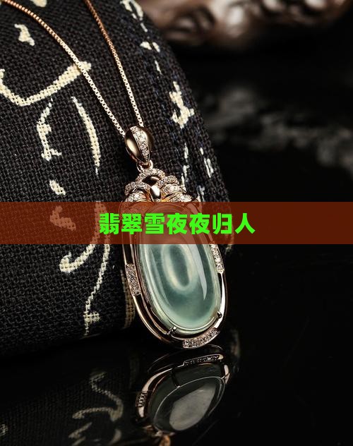翡翠雪夜夜归人