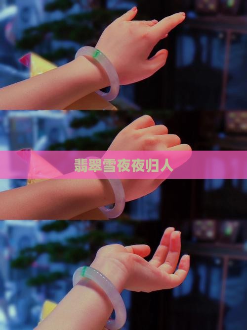 翡翠雪夜夜归人