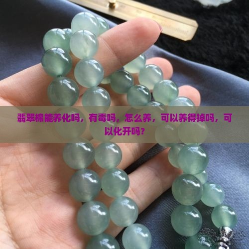 翡翠棉能养化吗