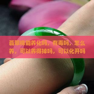 翡翠棉能养化吗