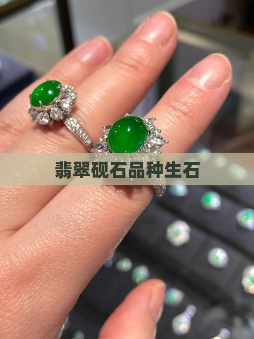 翡翠石生石