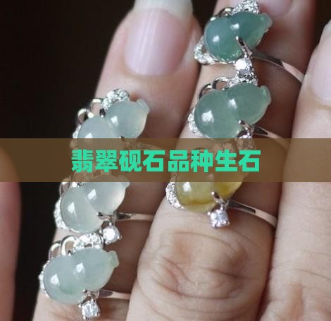 翡翠石生石