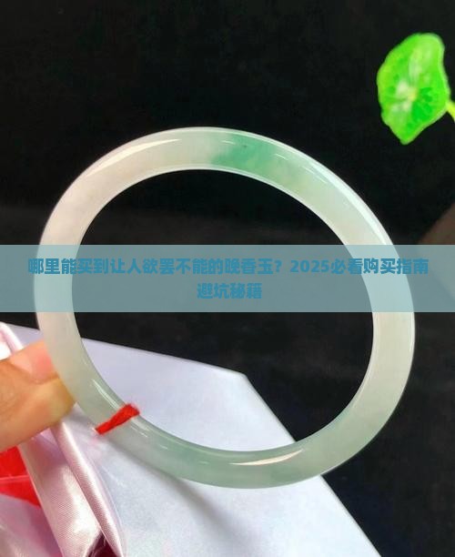 在什么地方买晚香玉