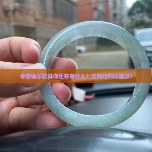 你想翡翠貔貅